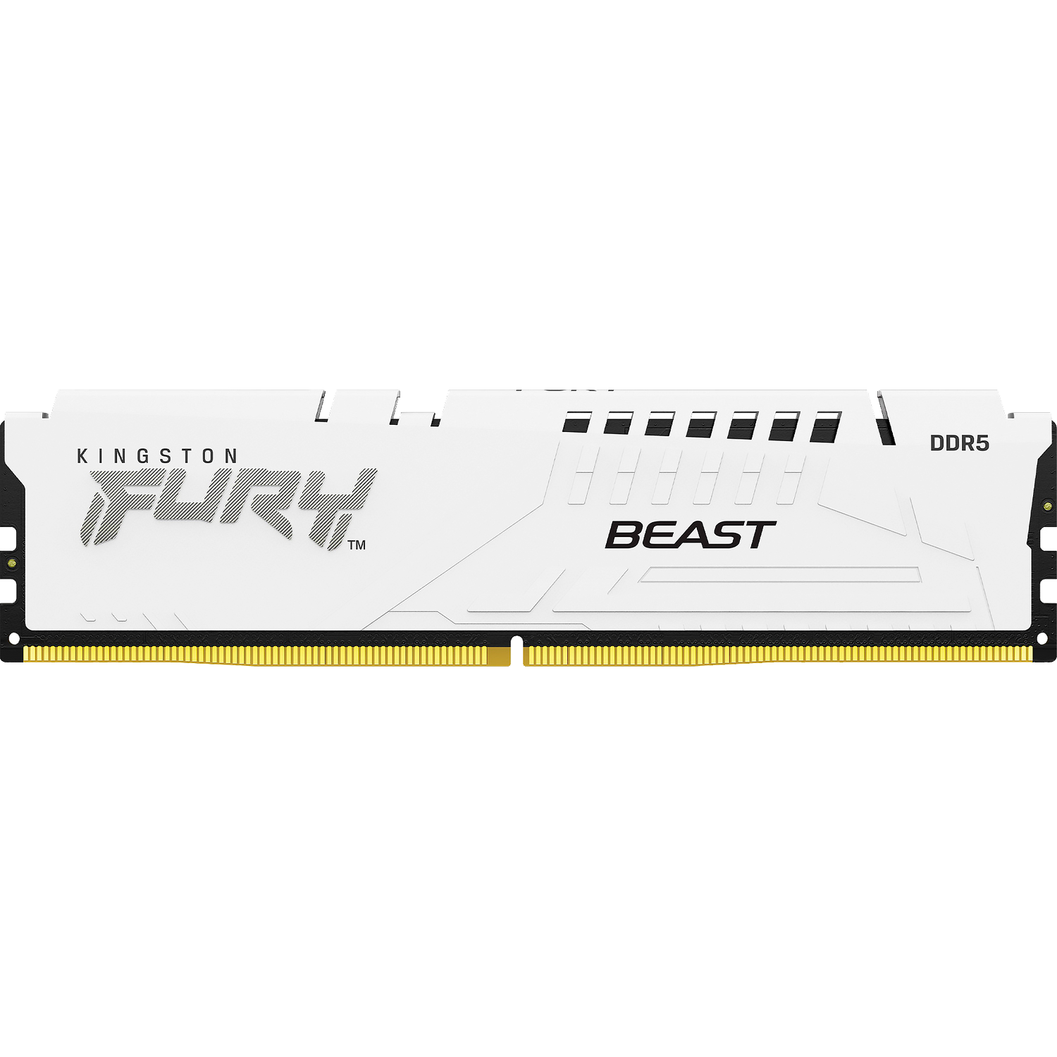 Память оперативная Kingston FURY Beast KF560C36BWE2-16
