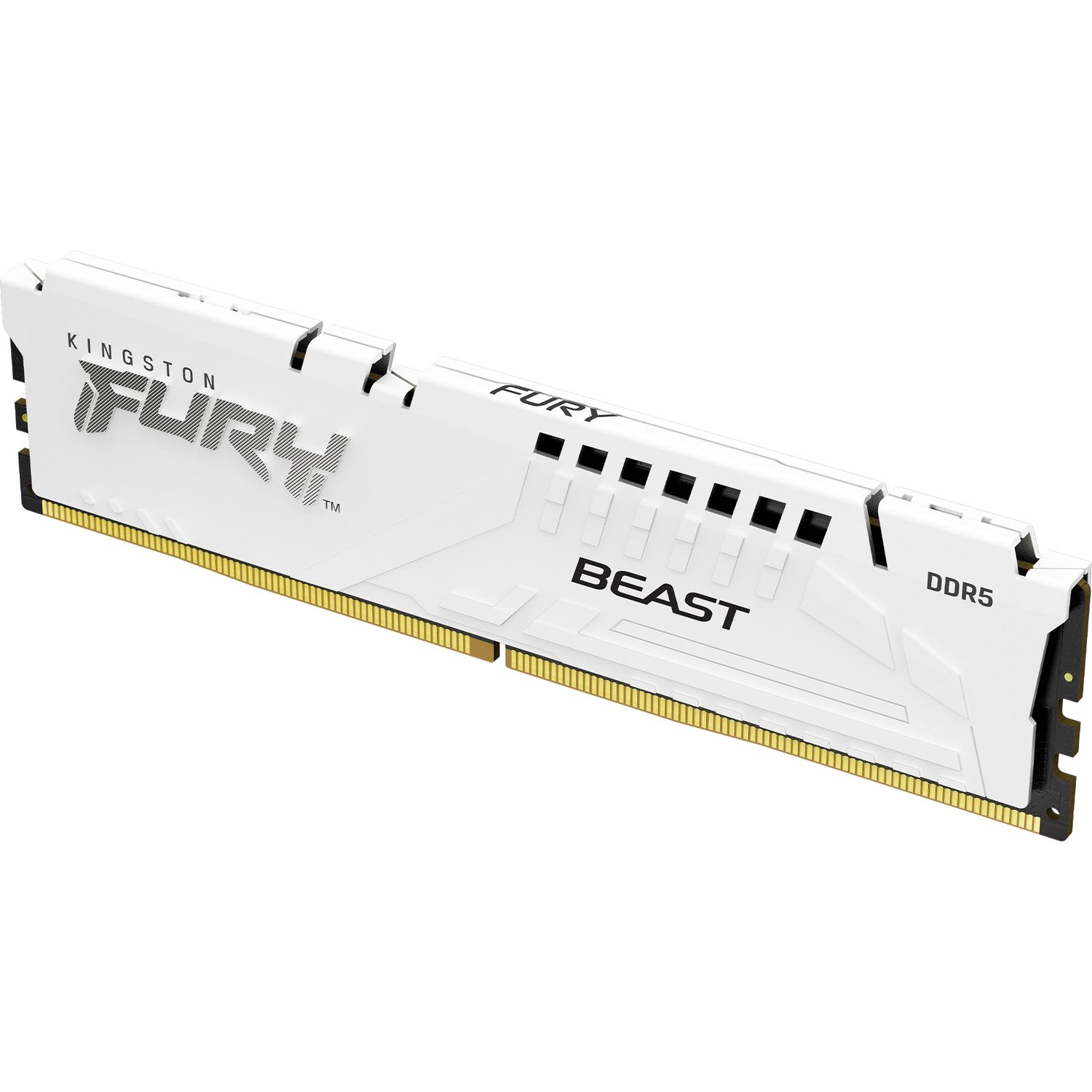 Память оперативная Kingston FURY Beast KF560C36BWE2-16